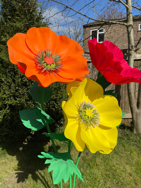 Poppy PDF Templates
