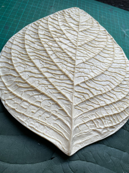 Universal flower leaf Mold/veiner