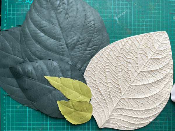 Universal flower leaf Mold/veiner