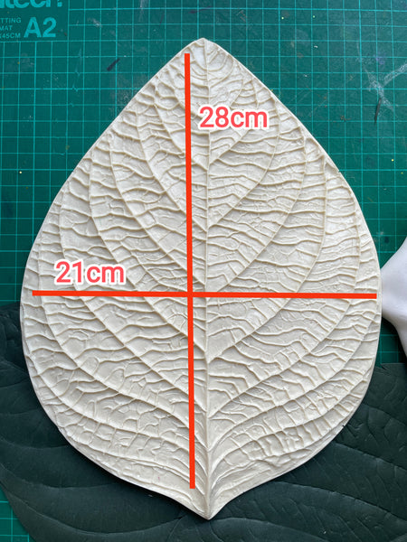 Universal flower leaf Mold/veiner