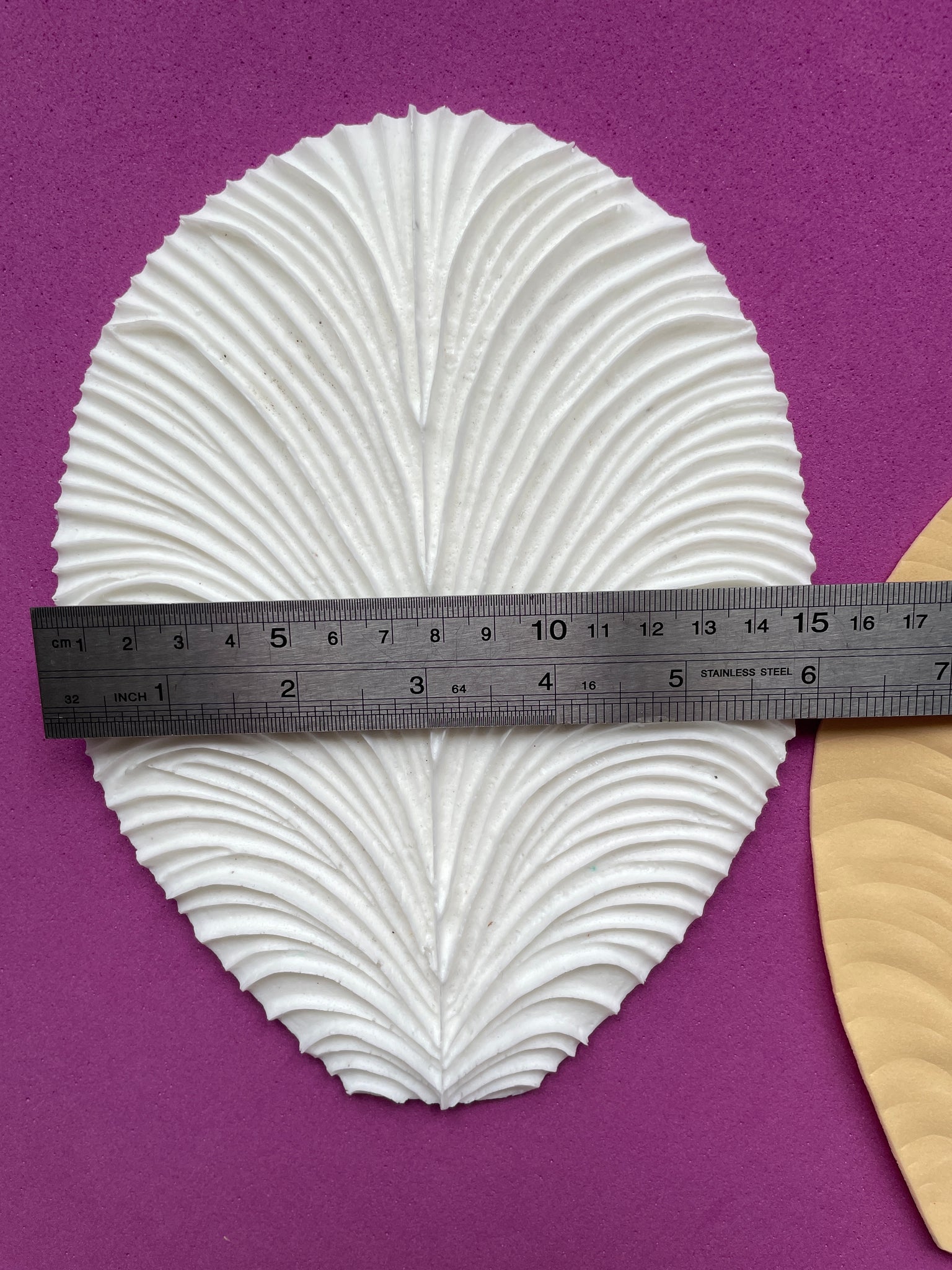 Universal medium Flower petal Mold/veiner