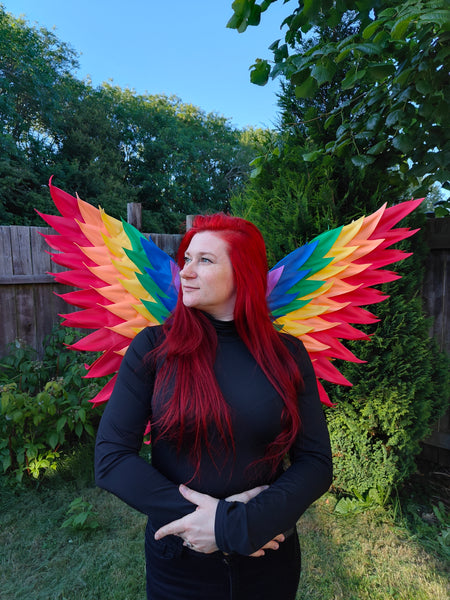 Rainbow Handmade Angel wings