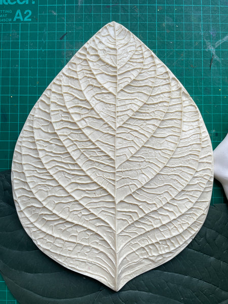 Universal flower leaf Mold/veiner