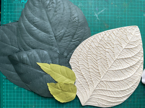 Universal flower leaf Mold/veiner