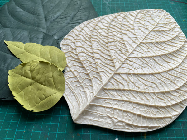 Universal flower leaf Mold/veiner