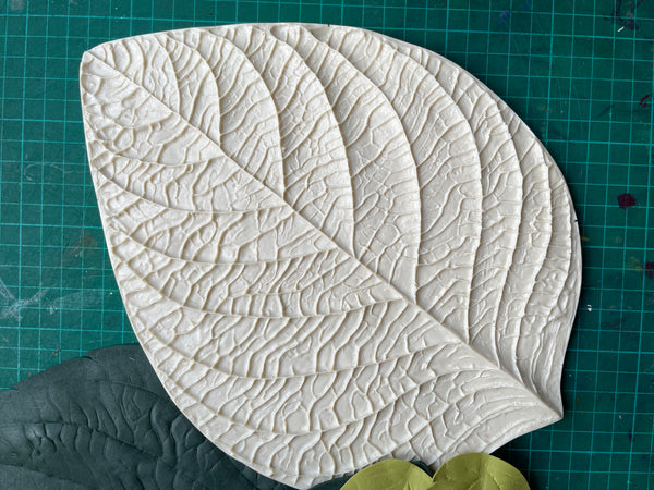 Universal flower leaf Mold/veiner