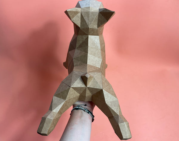 Paper Yoga French Bulldog