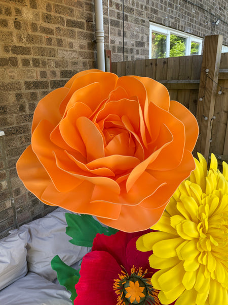 Peony Templates PDF only