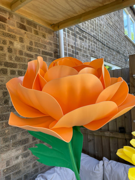 Peony Templates PDF only