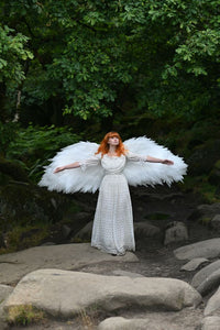 Large Angel Wings