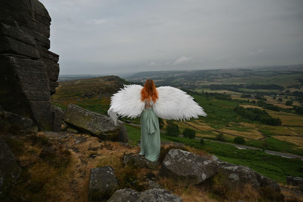 Large Angel Wings