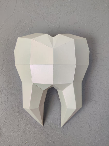 White pearlescent Tooth 30cm Wall Decoration Dental Clinic