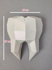 White pearlescent Tooth 30cm Wall Decoration Dental Clinic