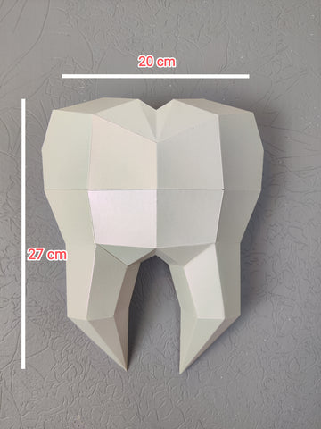 White pearlescent Tooth 30cm Wall Decoration Dental Clinic