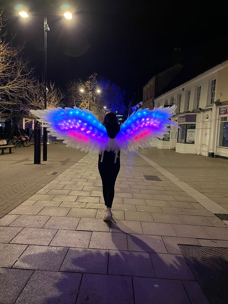 Led Light Dancing Wings