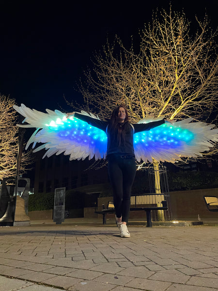 Led Light Dancing Wings