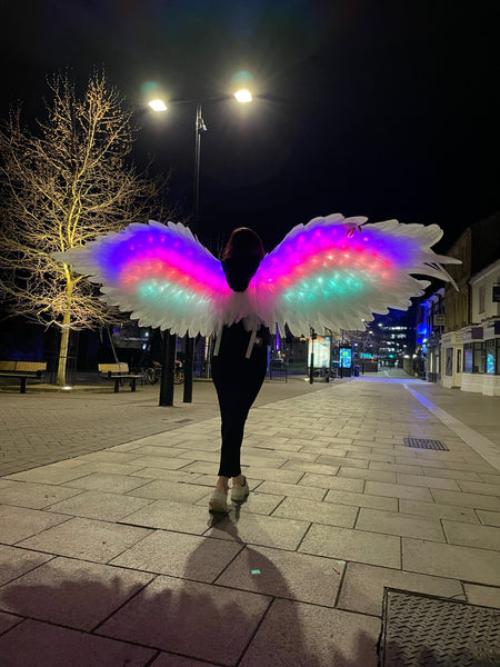 Led Light Dancing Wings