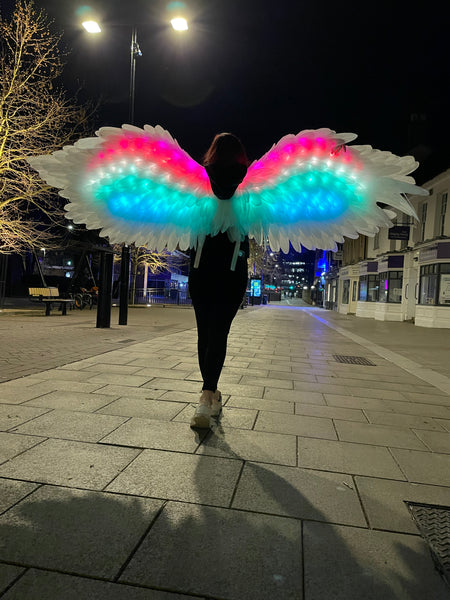 Led Light Dancing Wings