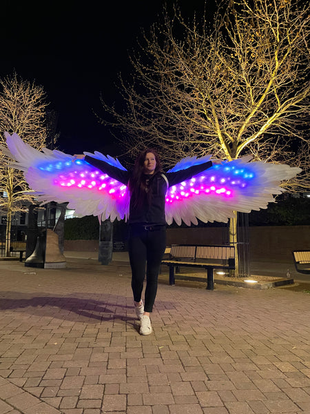 Led Light Dancing Wings