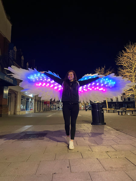 Led Light Dancing Wings